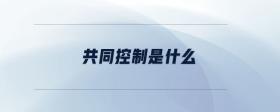共同控制是什么