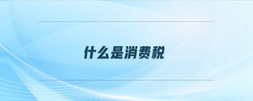 什么是消費(fèi)稅