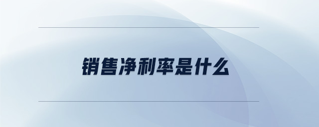 銷售凈利率是什么