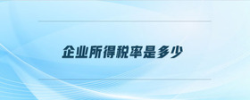 企業(yè)所得稅率是多少