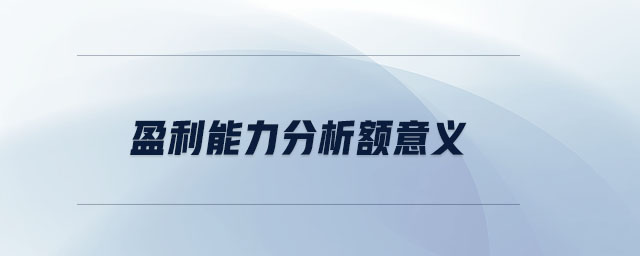盈利能力分析額意義