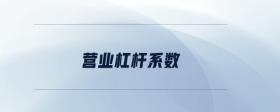 營(yíng)業(yè)杠桿系數(shù)