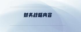 財(cái)務(wù)戰(zhàn)略內(nèi)容