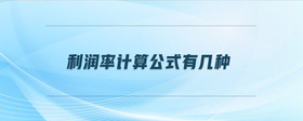 利潤(rùn)率計(jì)算公式有幾種