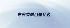 總分類(lèi)科目是什么