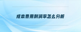 成本費(fèi)用利潤率怎么分析
