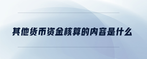 其他貨幣資金核算的內(nèi)容是什么