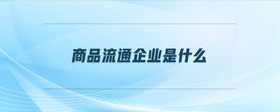 商品流通企業(yè)是什么