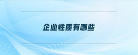企業(yè)性質有哪些