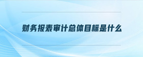 財(cái)務(wù)報(bào)表審計(jì)總體目標(biāo)是什么