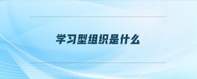 學(xué)習(xí)型組織是什么