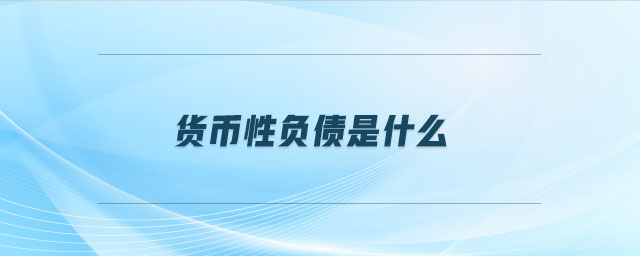 貨幣性負(fù)債是什么