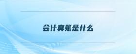 會(huì)計(jì)真賬是什么