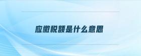 應(yīng)繳稅額是什么意思