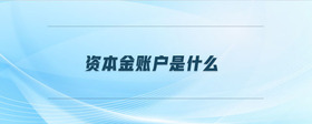 資本金賬戶是什么