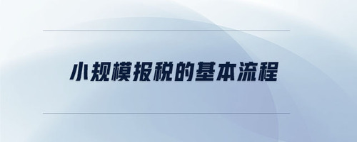 小規(guī)模報(bào)稅的基本流程