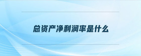 總資產(chǎn)凈利潤率是什么