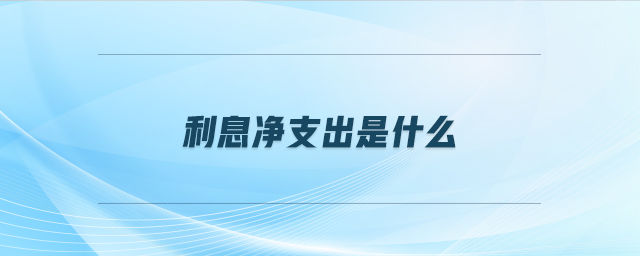 利息凈支出是什么