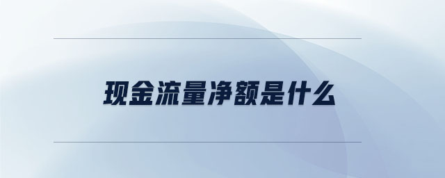 現(xiàn)金流量?jī)纛~是什么