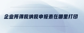 企業(yè)所得稅納稅申報表在哪里打印