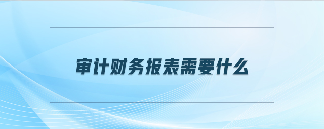 審計財務(wù)報表需要什么