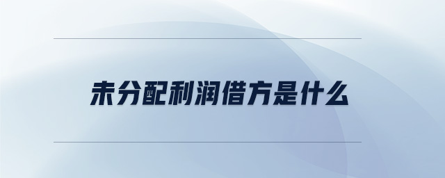 未分配利潤(rùn)借方是什么
