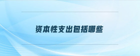 資本性支出包括哪些