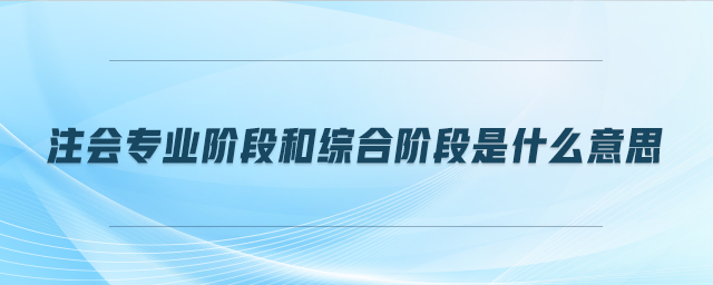 注會專業(yè)階段和綜合階段是什么意思