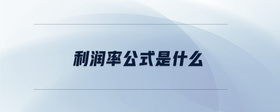 利潤(rùn)率公式是什么