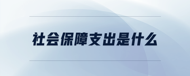 社會(huì)保障支出是什么
