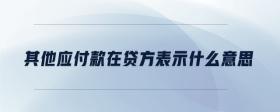 其他應(yīng)付款在貸方表示什么意思？