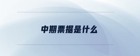 中期票據(jù)是什么
