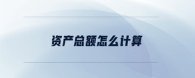 資產(chǎn)總額怎么計(jì)算