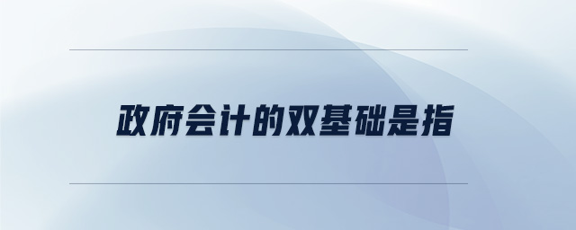 政府會(huì)計(jì)的雙基礎(chǔ)是指