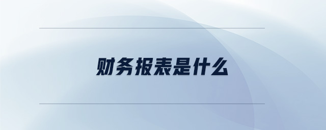 財務(wù)報表是什么