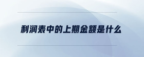 利潤(rùn)表中的上期金額是什么