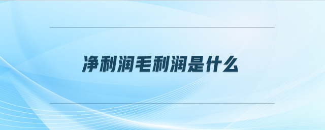 凈利潤(rùn)毛利潤(rùn)是什么