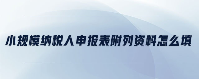 小規(guī)模納稅人申報表附列資料怎么填
