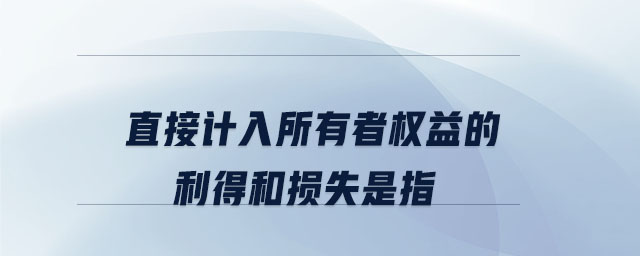 直接計入所有者權(quán)益的利得和損失是指