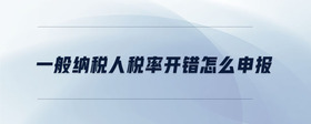 一般納稅人稅率開錯怎么申報(bào)
