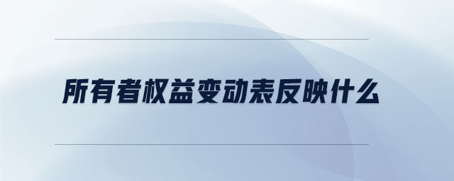所有者權(quán)益變動(dòng)表反映什么