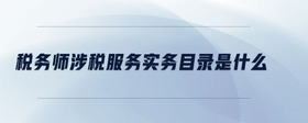 稅務(wù)師涉稅服務(wù)實(shí)務(wù)目錄是什么