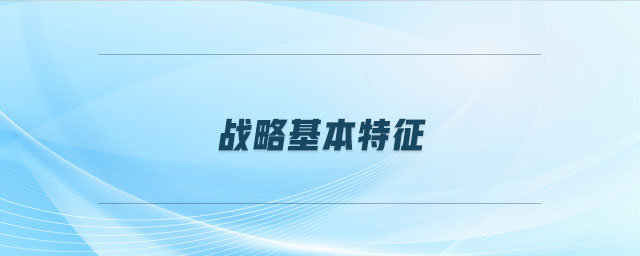 戰(zhàn)略基本特征