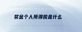 獎金個人所得稅是什么