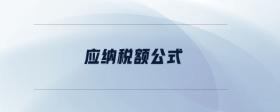 應(yīng)納稅額公式