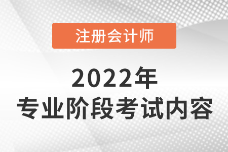 2022年注冊(cè)會(huì)計(jì)師專業(yè)階段考什么？