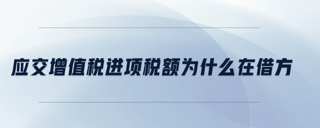 應交增值稅進項稅額為什么在借方