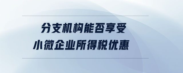 分支機構(gòu)能否享受小微企業(yè)所得稅優(yōu)惠