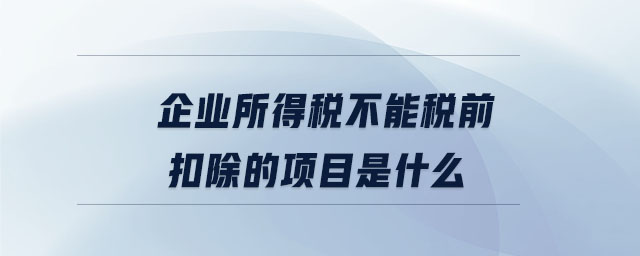 企業(yè)所得稅不能稅前扣除的項目是什么
