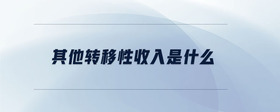 其他轉(zhuǎn)移性收入是什么